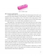 Atestat Aplicarea unghiilor cu gel folosind șablonul - imaginea18