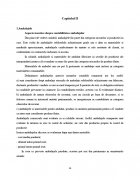 Atestat Contabilitatea ambalajelor - imaginea13