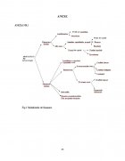 Atestat Analiza surselor proprii de finantare - imaginea22