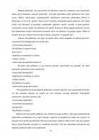 Atestat Comunicarea și mixul de marketing la SC  CARREFOUR ROMÂNIA  SA - imaginea12