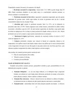 Atestat Materiale Ceramice. Porțelanul - imaginea17