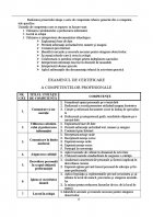 Atestat Pile de Combustie - imaginea4