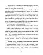 Atestat Tehnologia de obtinere a painii - imaginea20