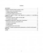 Atestat Agentia de turism Sirius - imaginea2