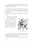 Atestat Inventarierea speciilor din parcul dendrologic și descrierea speciilor de bază - imaginea16