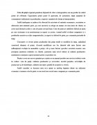 Atestat Cota de piata - imaginea28