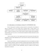 Atestat Caracterizarea impozitelor indirecte sursă de venit la bugetul de statului - imaginea32