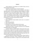 Atestat Tipuri de organigrame - imaginea3