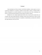 Atestat Machiaj de zi - imaginea23