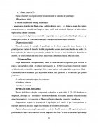 Atestat Tehnologia de obtinere a painii - imaginea7