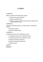 Atestat Contabilitatea imobilizarilor corporale - imaginea2