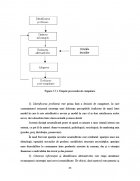 Atestat Analiza pietei de consum - imaginea22