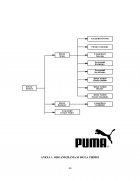 Atestat Promovarea și vânzarea  online a ofertei de  articole de încalţăminte  sportivă  în cadrul firmei SC PUMA SRL - imaginea32