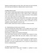 Atestat Forta de vanzare in cadrul firmei  S.C  Altex Romania S.R.L - imaginea42