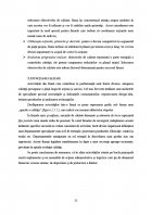 Atestat Managementul calitatii - imaginea24