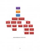 Atestat Majorarea capitalului social la S.C CONARG S.R.L - imaginea20