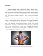 Atestat Îngrijirea pacienților cu lombosciatică - imaginea3