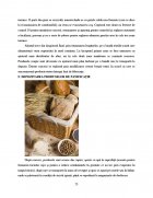 Atestat Tehnologia de obtinere a painii - imaginea22