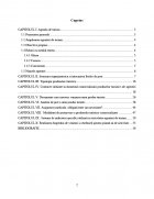 Atestat Infiintarea unei agentii de turism SC Sicora Travel SRL - imaginea2