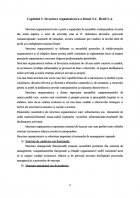Atestat Caracteristicile de calitate si promovare a produselor zaharoase la SC Heidi SA - imaginea7