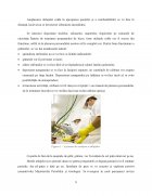 Atestat Reguli de igienă și norme de protecție a muncii în restaurante - imaginea9