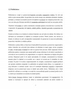 Atestat Politica de promovare Oriflame - imaginea7