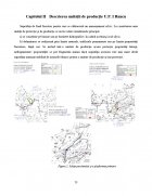 Atestat Intocmirea unui act de punere in valoare la produsele principale - imaginea14