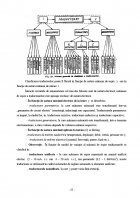 Atestat Reglarea automata a parametrilor tehnologici - imaginea23