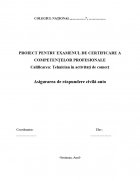 Atestat Asigurarea de raspundere civila auto - imaginea1