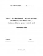 Atestat Memoria externa - imaginea1