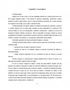 Atestat Zidaria din caramida plina - imaginea4