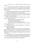 Atestat Analiza surselor proprii de finantare - imaginea16