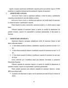 Atestat Contabilitatea amortizarii la S.C. “LANDREAM” S.R.L. - imaginea16