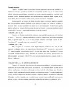 Atestat Materiale Ceramice. Porțelanul - imaginea24