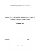 Atestat Machiajul de zi - imaginea1