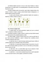 Atestat Pregatirea tehnico tactica a jocului de handbal - imaginea12