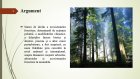 Atestat Intocmirea unui act de punere in valoare la produsele principale - imaginea43