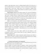 Atestat Recoltarea, prelucrarea și păstrarea semințelor forestiere - imaginea6