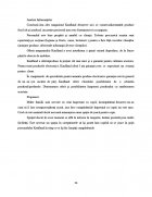 Atestat Kaufland - imaginea51