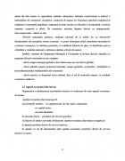 Atestat Agentia de turism Sirius - imaginea7