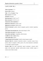 Atestat Ingrijirea bolnavului cu gastrită - imaginea63