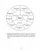 Atestat Tipuri de organigrame - imaginea13