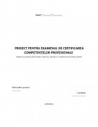 Atestat Clasificarea structurilor de primire cu functiuni de cazare - imaginea1