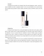 Atestat Machiaj de zi - imaginea12