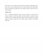 Atestat Securitatea unei rețele de calculatoare - imaginea22