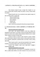 Atestat Fundamentarea strategiei de piata la S C  TABCO CAMPOFRIO S A - imaginea51