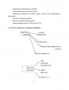 Atestat Calitatea produselor la firma “S C  Argos S A ” Cluj Napoca - imaginea5