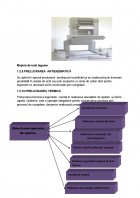Atestat Tehnologia de obtinere a conservelor de legume congelate - imaginea13