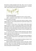 Atestat Pregatirea tehnico tactica a jocului de handbal - imaginea21