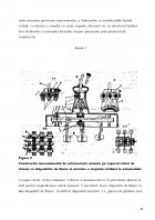 Atestat Cutia de viteze - imaginea34